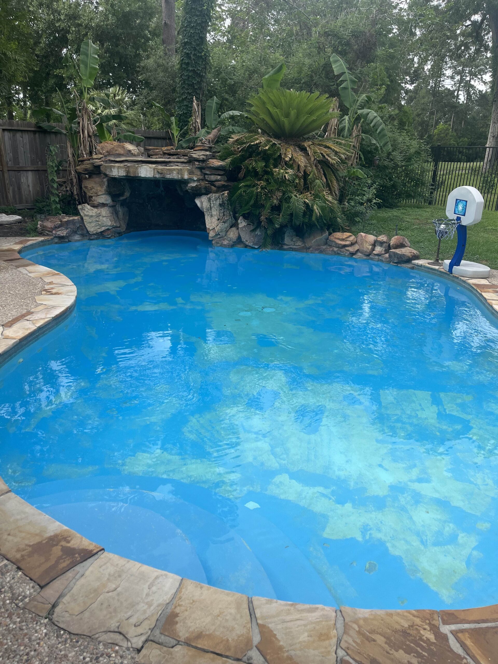 IMG_1977 Pool Maintenance